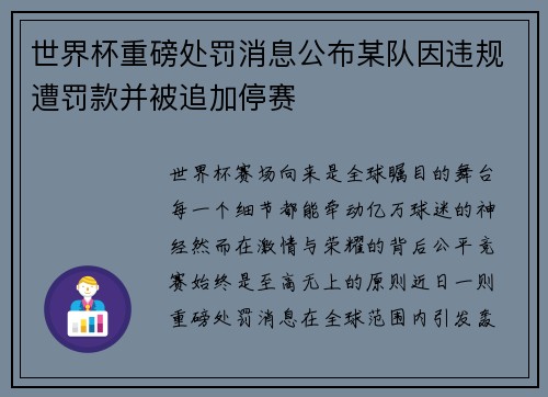 世界杯重磅处罚消息公布某队因违规遭罚款并被追加停赛